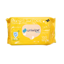 Wipes Antibacterial Hand & Surface - Pack of 100