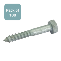 1/21: Hex Lag Screw TH12x80mm